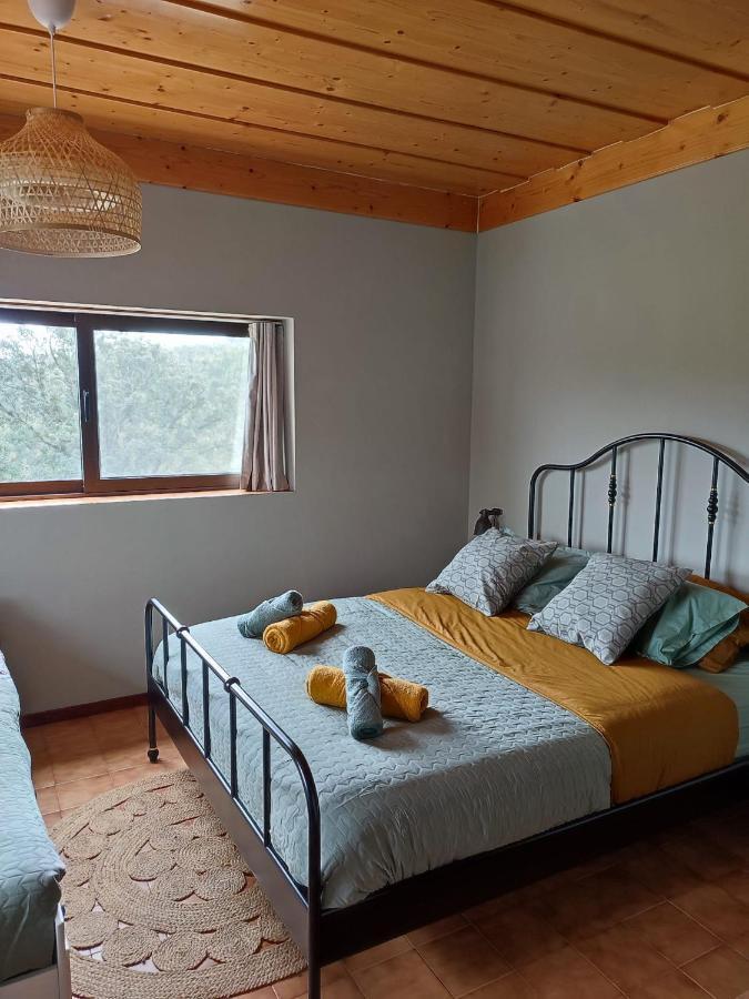 Alojamento Casa do Cabeço Macinhata do Vouga Extérieur photo